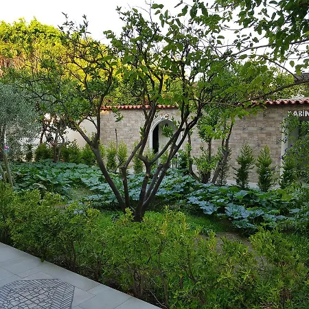 酒店 卡普坦酒店 古托克布库